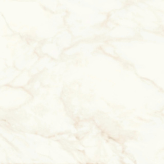 Marvel Shine Calacatta Delicato 60x60 połysk